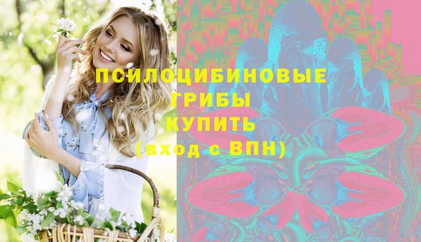 герыч Алексин