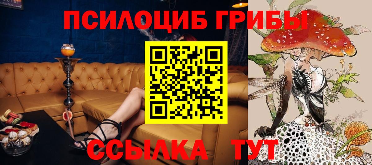 Галлюциногенные грибы Psilocybine cubensis Балашов